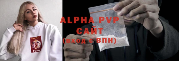 хмурый Алексин
