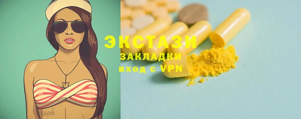 хмурый Алексин