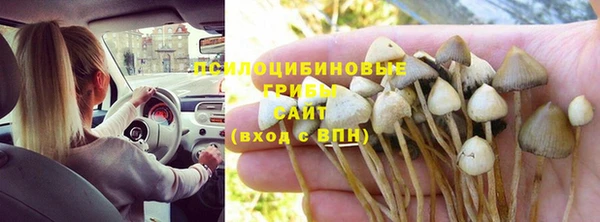 хмурый Алексин