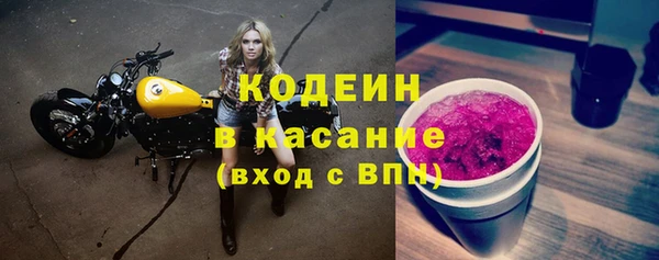хмурый Алексин